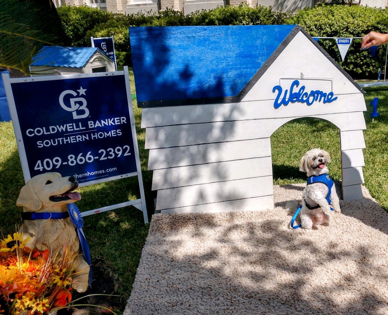 Beaumont Main Street Dogtoberfest